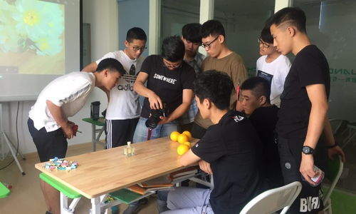 青岛创艺教育与淘学培训 教育咨询服务体验深度解析