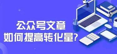 教育咨询公众号如何打造高转化内容？掌握这6大策略，提升用户付费意愿